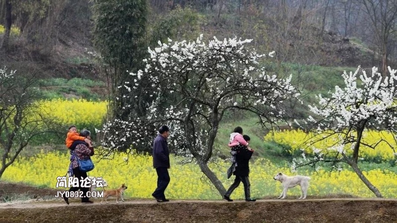 三等奖《春归》.jpg