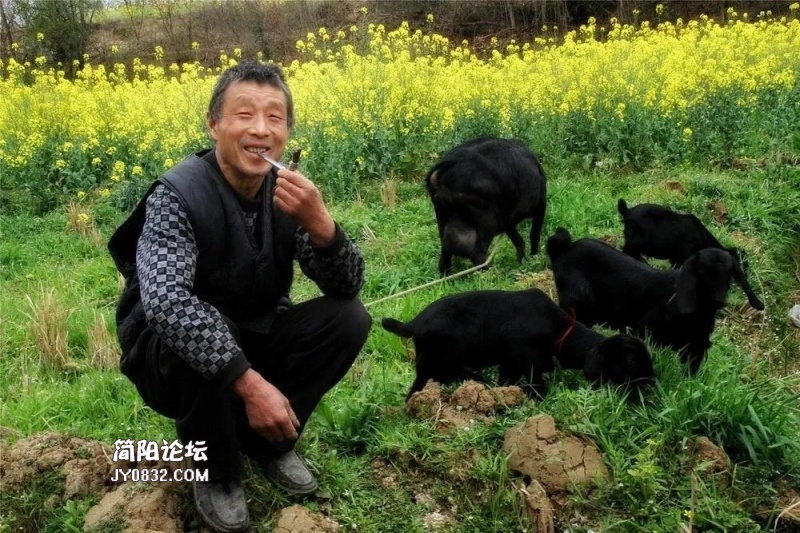 佳作奖《牧羊人》.jpg