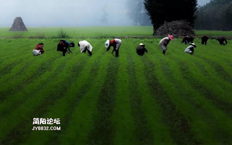 佳作奖《人勤春早》.jpg