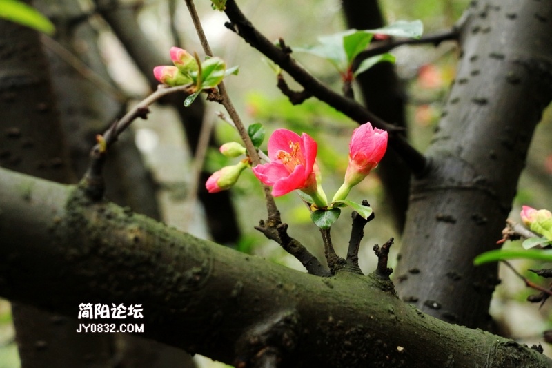 IMG_9763.jpg