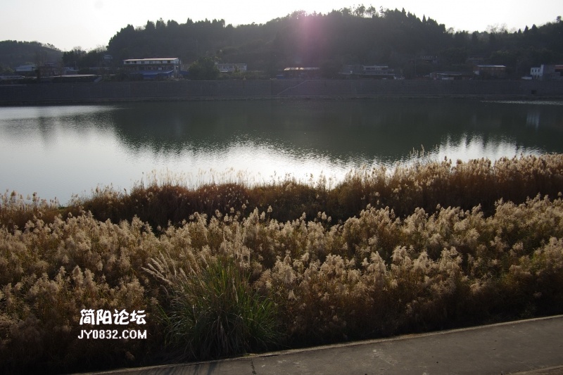 14也是一景.jpg