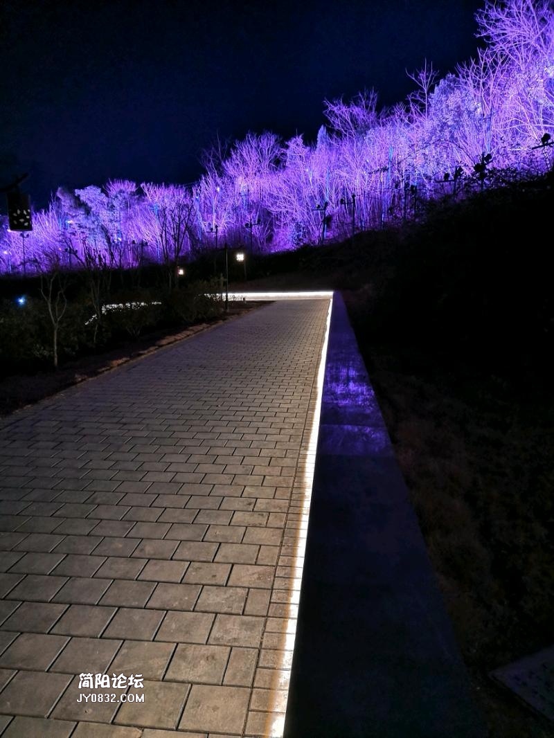 简阳鳌山夜景图片