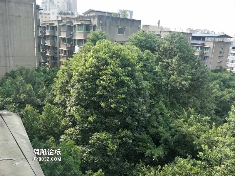 IMG20180904154840.jpg