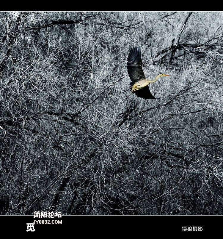 微信图片_20190301164823a.jpg