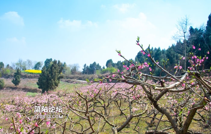 DSC_2757.jpg