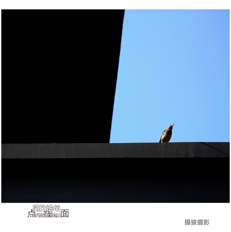 微信图片_20190408161102压800.jpg