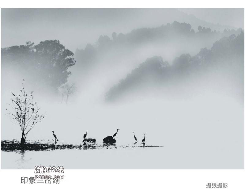 微信图片_20190412181806a.jpg