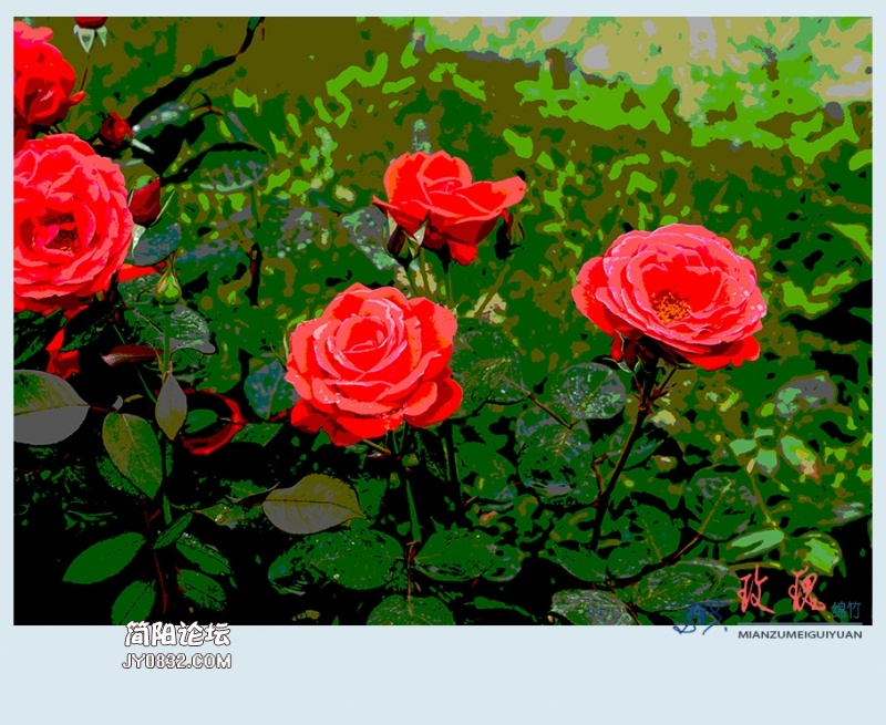玫瑰——08.jpg