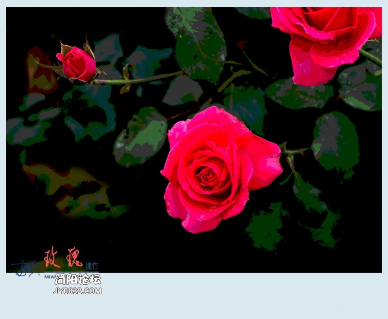 玫瑰——16.jpg