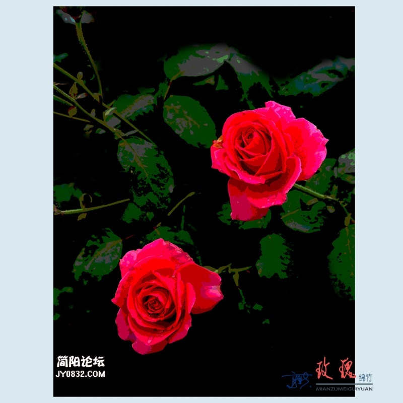 玫瑰——18.jpg