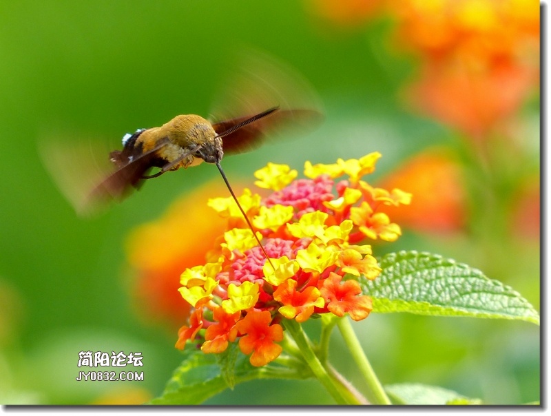 20190927-P1000238_副本.jpg