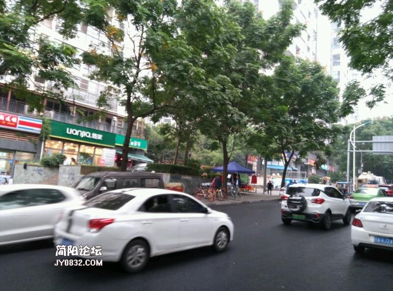 pi90zUi09696.jpg