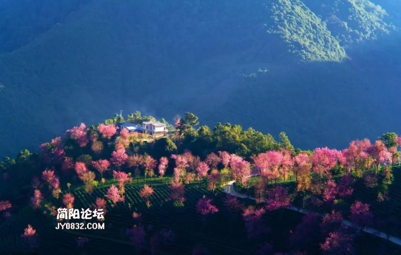 微信图片_20191024111218.jpg