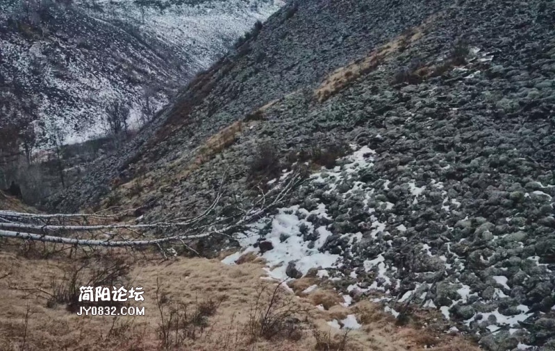 微信图片_20191024111351.jpg