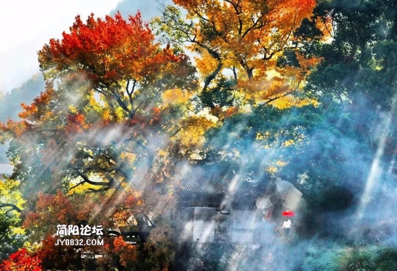 微信图片_20191024111501.jpg