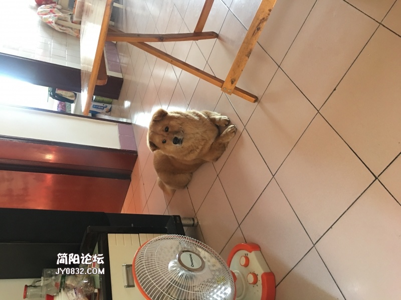 微信图片_20191120171817.jpg