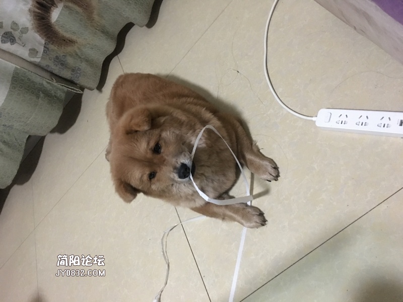 微信图片_20191120171827.jpg