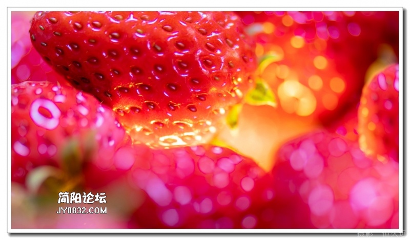 草莓3.jpg