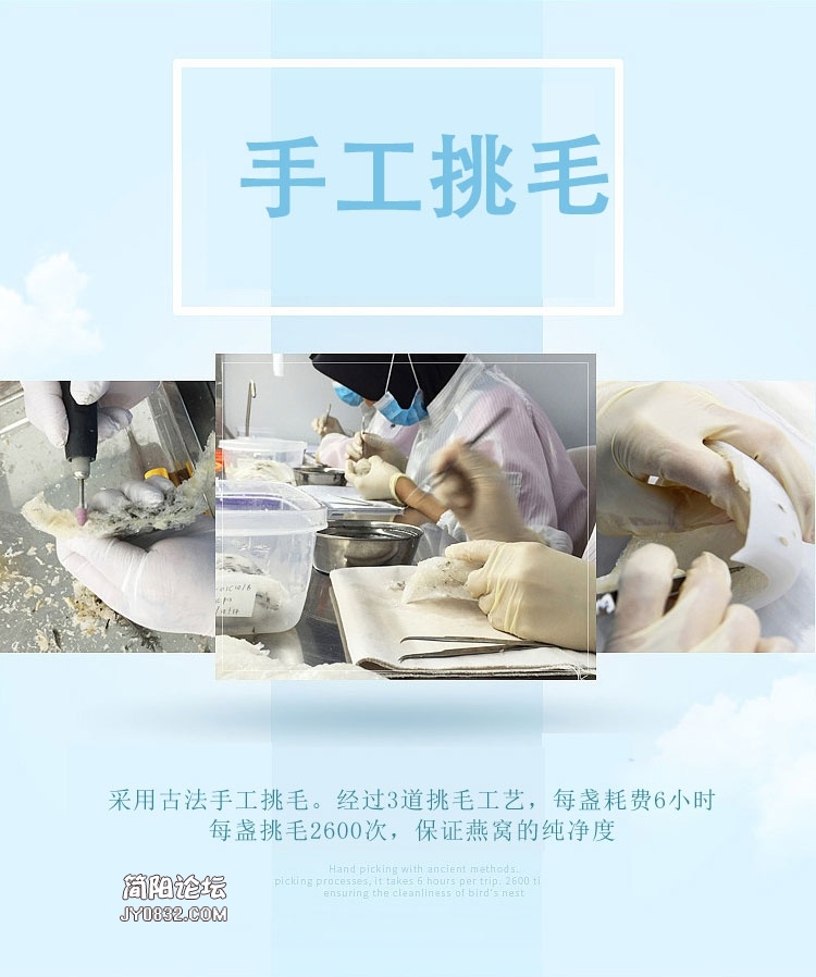 传统燕盏4.jpg