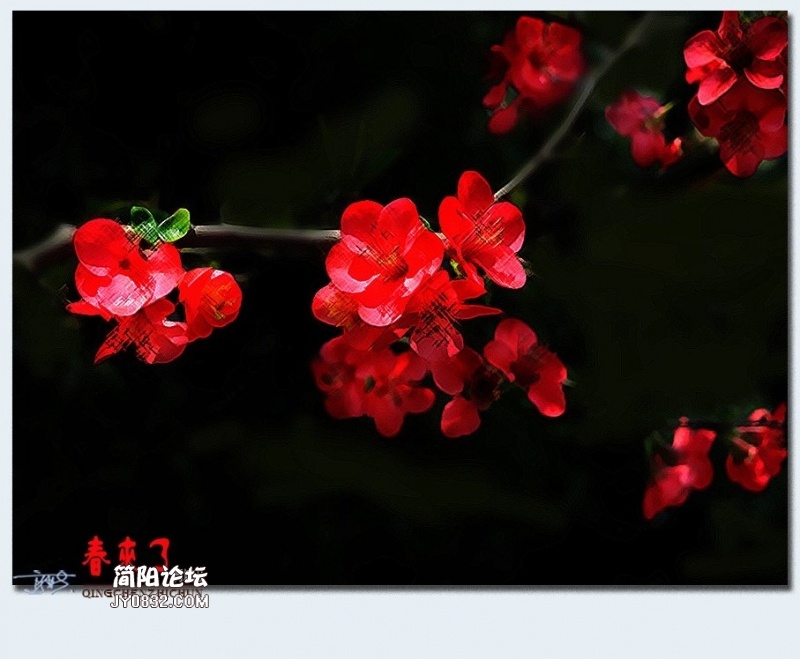 青城之春——36.jpg