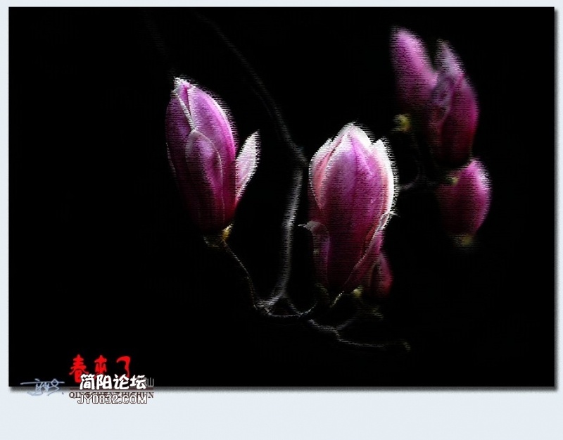青城之春——45.jpg