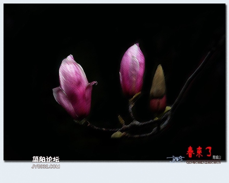 青城之春——46.jpg