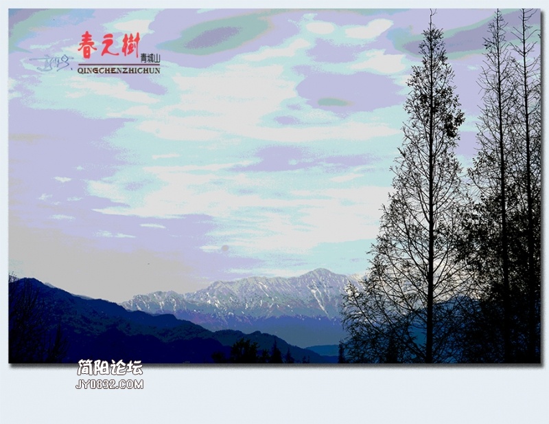 青城之树——18.jpg