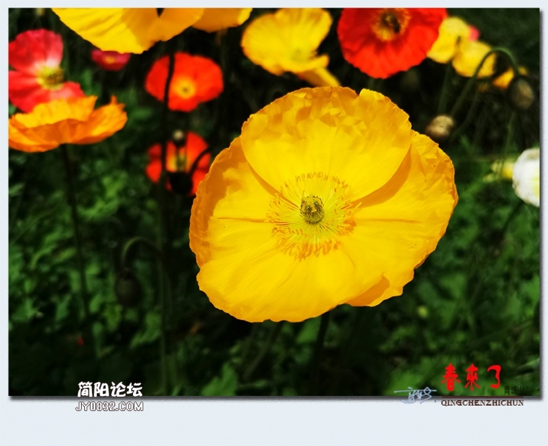青城之春——09.jpg