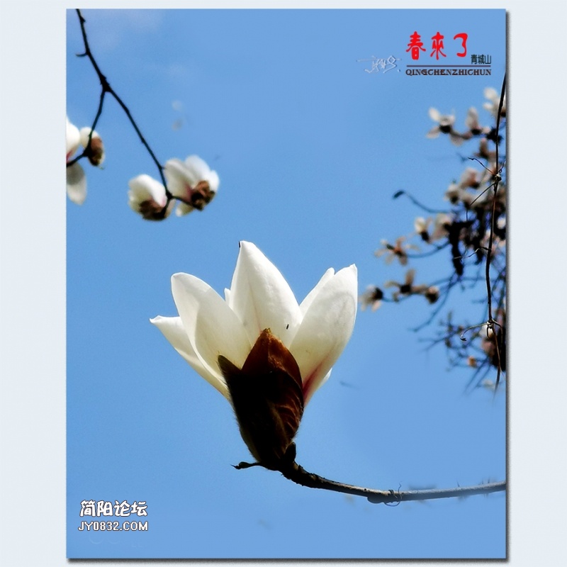 青城之春——19.jpg