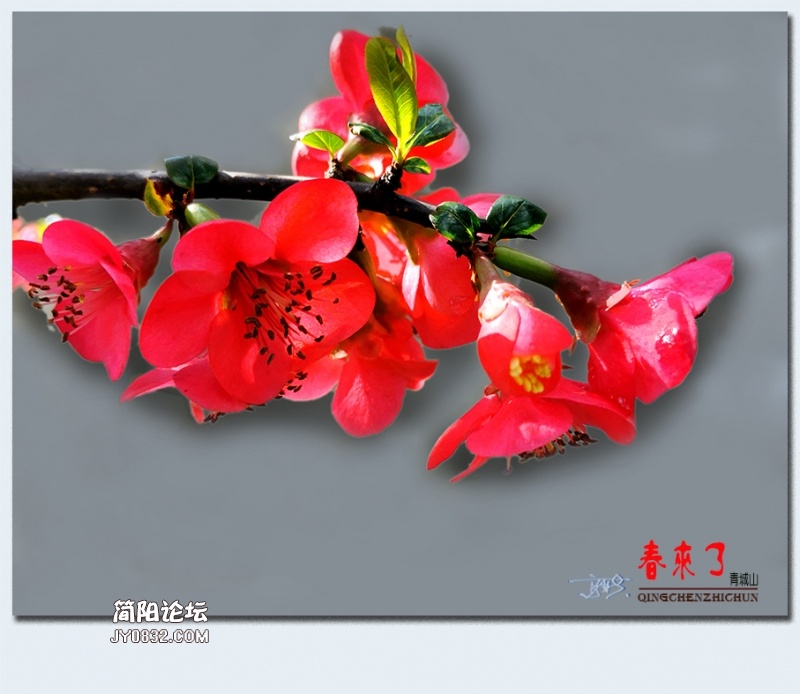 青城之春——21.jpg