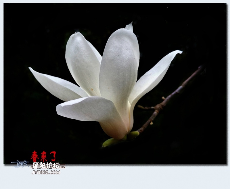 青城之春——27.jpg