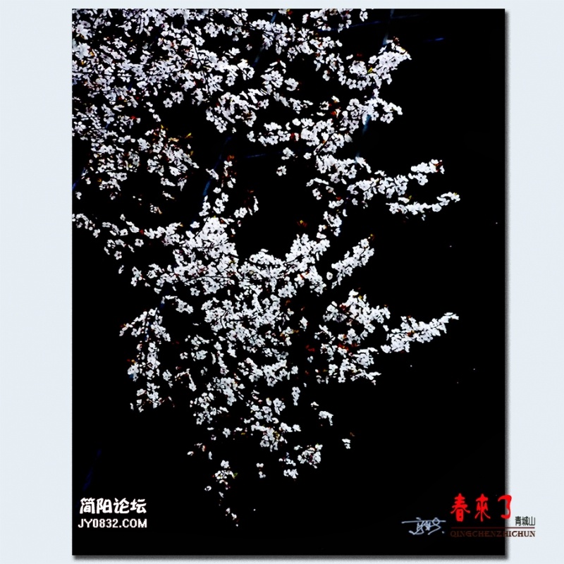 青城之春——26.jpg