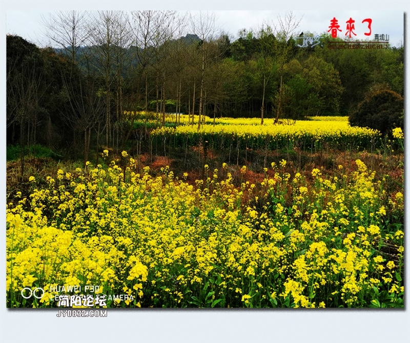 青城之春——35.jpg