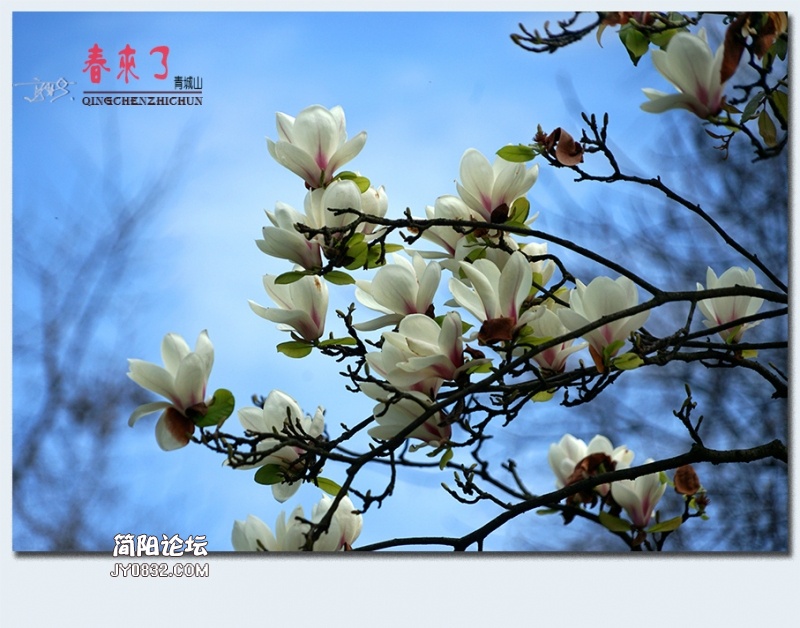 青城之春——39.jpg