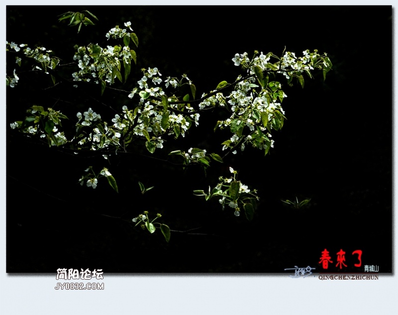 青城之春——46.jpg
