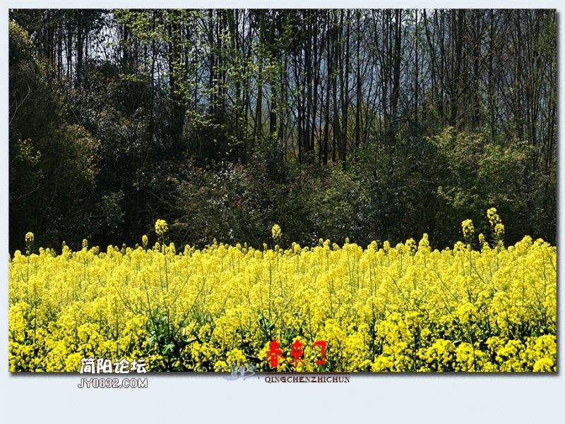 青城之春——09.jpg