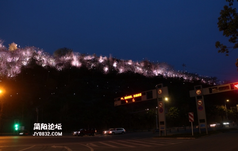 IMG_6316_副本.jpg