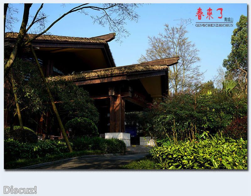 青城之春——19.jpg