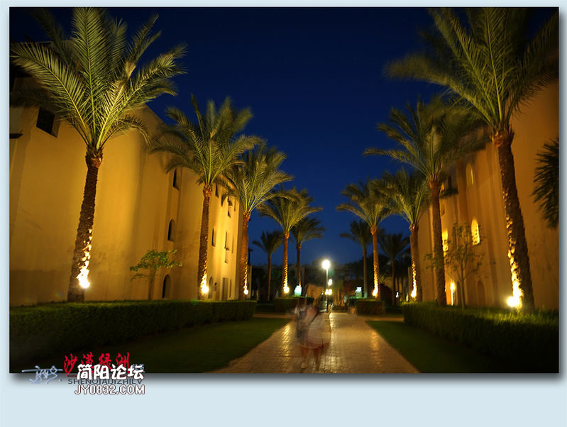 沙漠绿洲——03.jpg