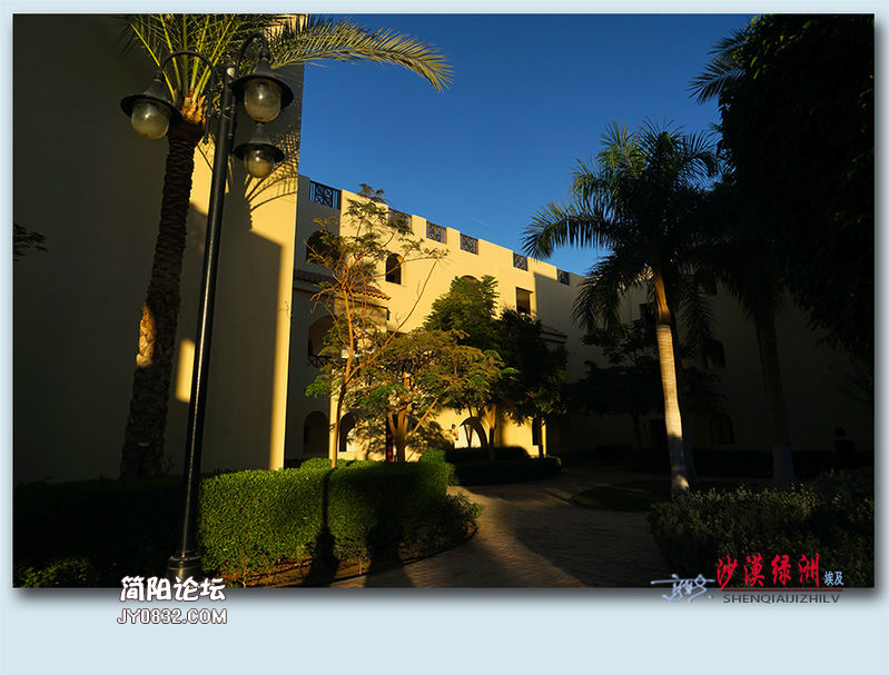 沙漠绿洲——17.jpg