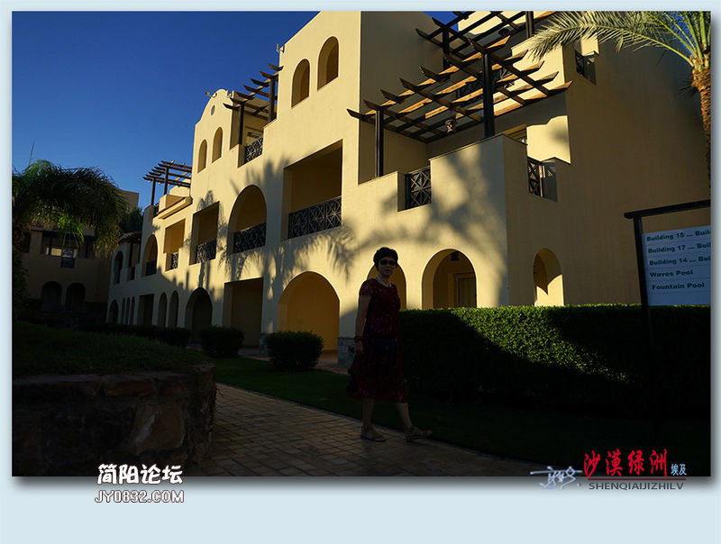 沙漠绿洲——28.jpg