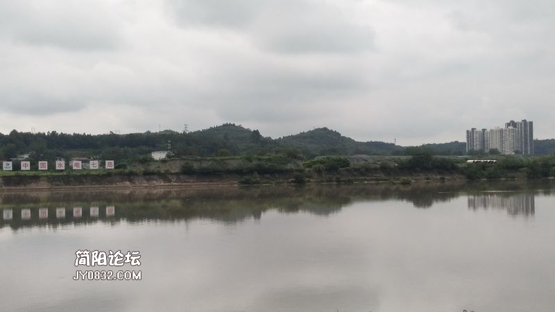 IMG_20200801_103022.jpg