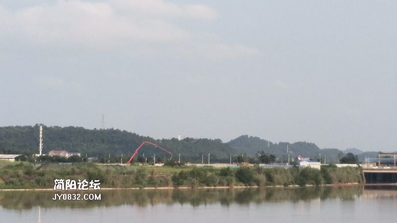 IMG_20200801_174952.jpg