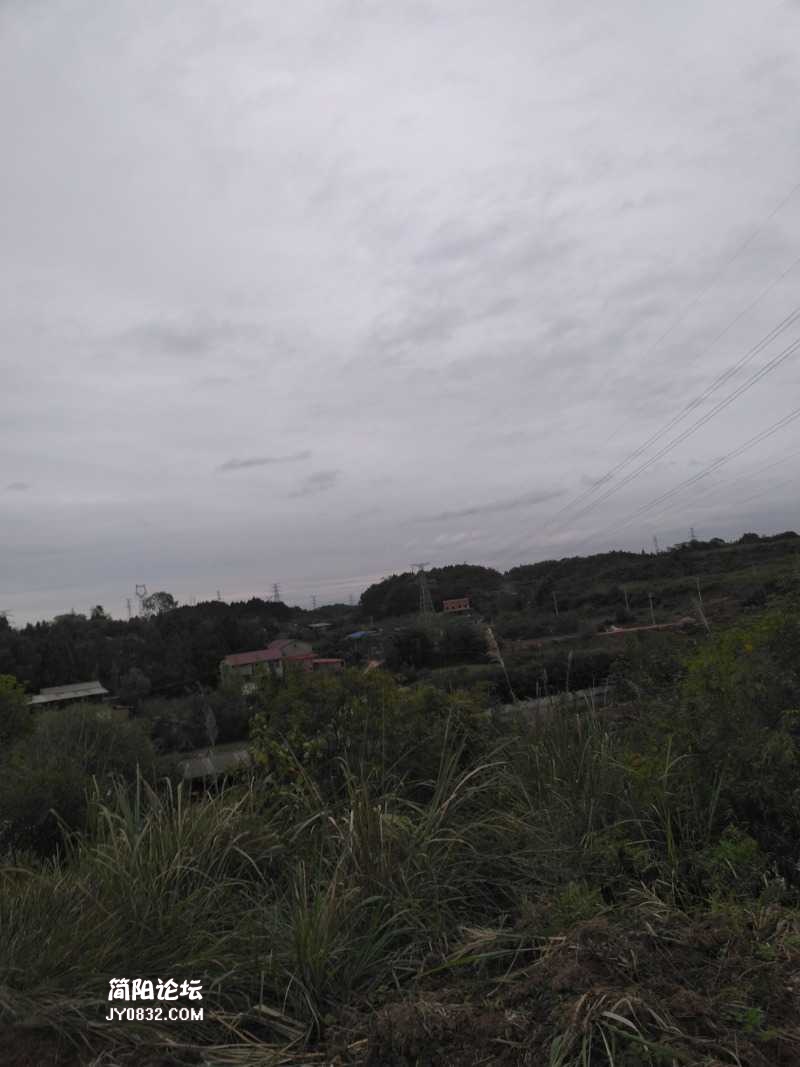 IMG_20201003_172608.jpg