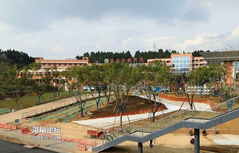3C7A0908.jpg