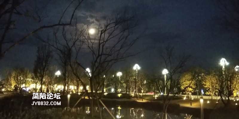 IMG_20201229_184445.jpg