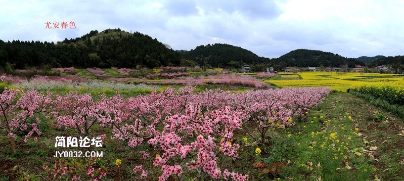 尤安春色1.jpg