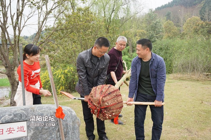 DSC04449_副本.jpg