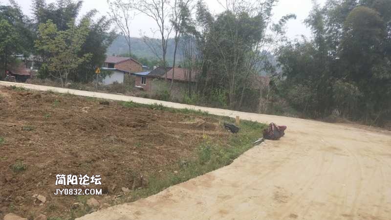 IMG20210325105425.jpg