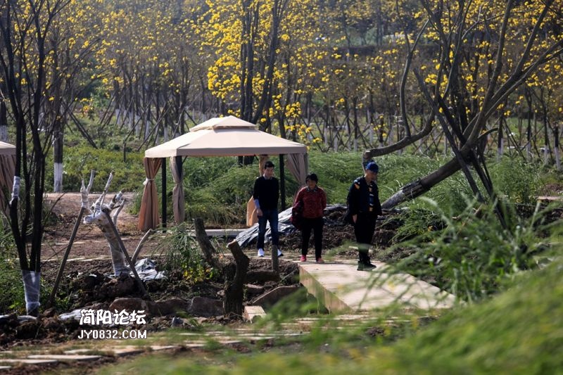 东麓花溪走进桂林村